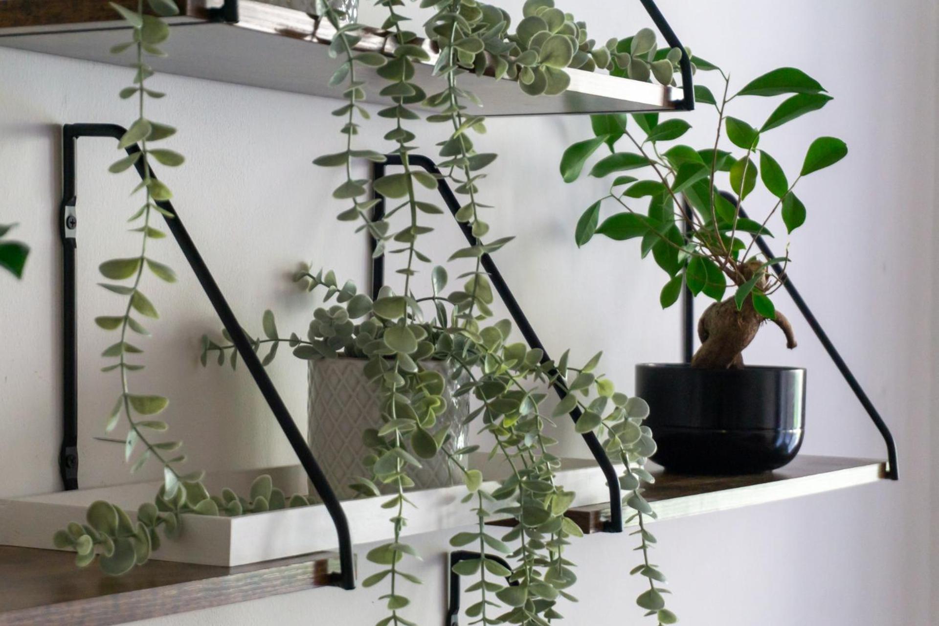 Apartment With Garden Close To Stadthalle, Westbahnhof 비엔나 외부 사진